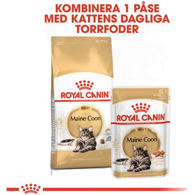 Maine Coon Adult kissan kuivaruoka