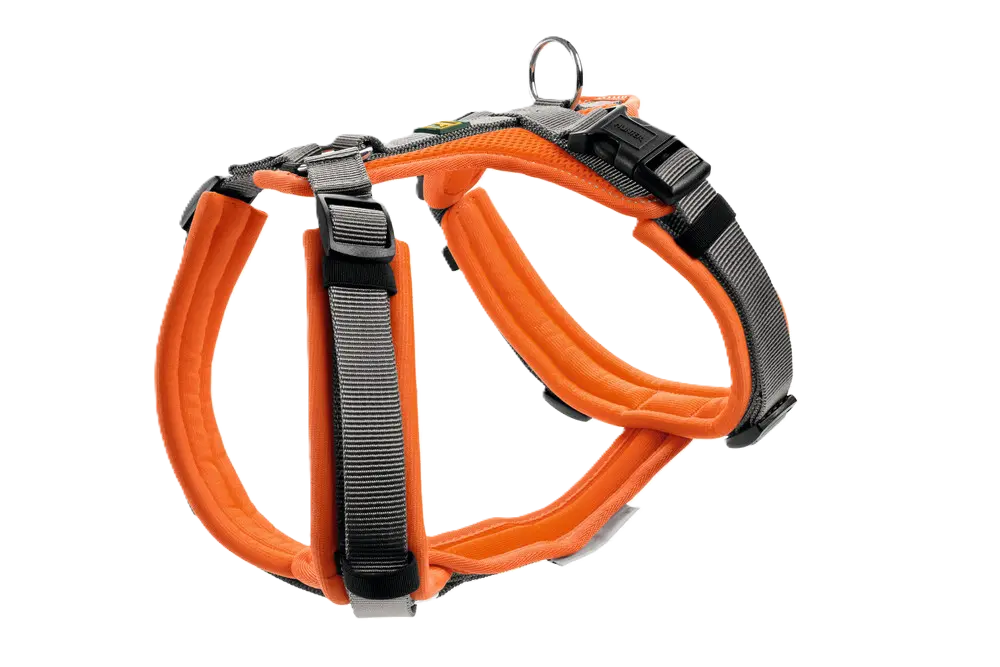 Harness Maldon Up Polyester orange/grey 34-49/XS