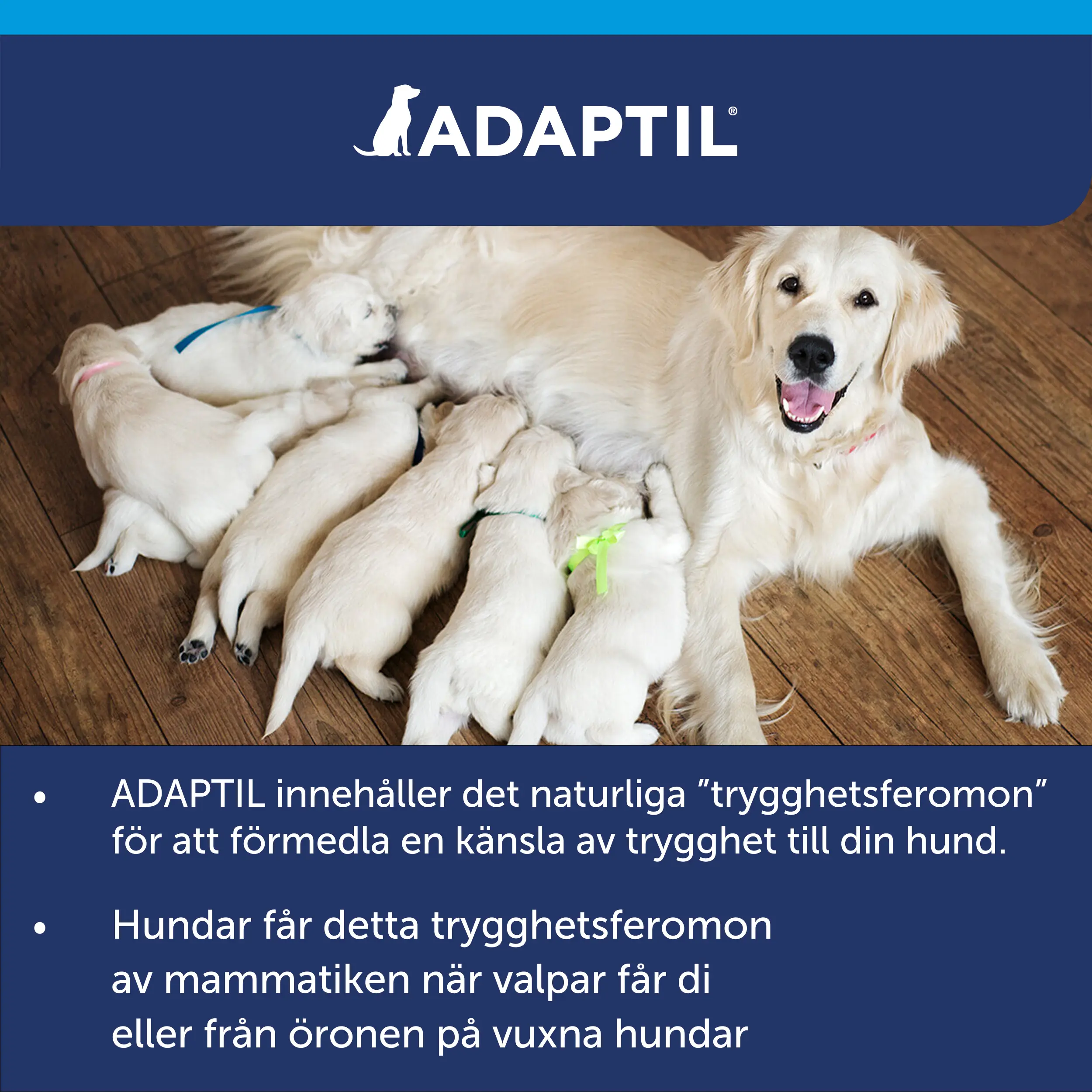 Calm Refill - Haihdutin Täyttöpakkaus