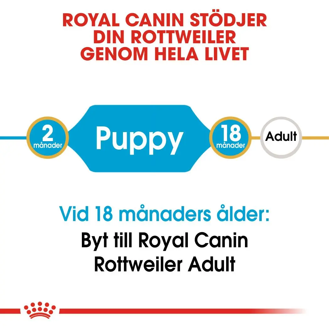 Rottweiler Puppy Kuivaruoka pennuille
