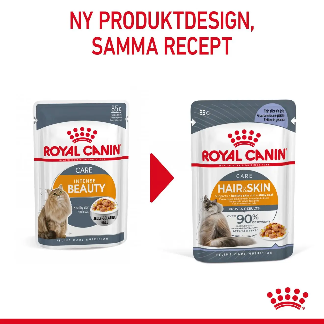 FCN Hairball Care Gravy Adult kissan märkäruoka