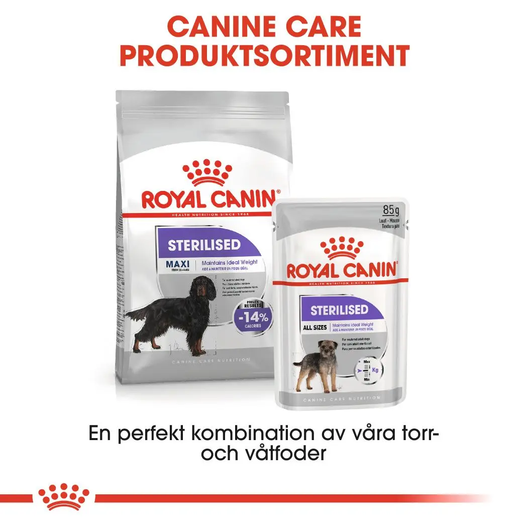 Maxi Steriloitu aikuisten kuivaruoka koirille