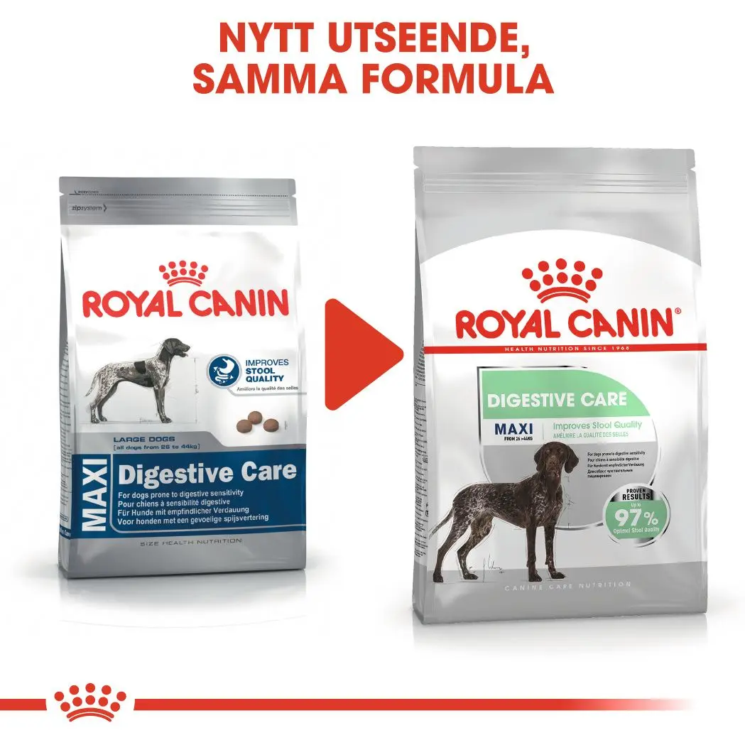 Digestive Care Adult Maxi kuivaruoka koirille