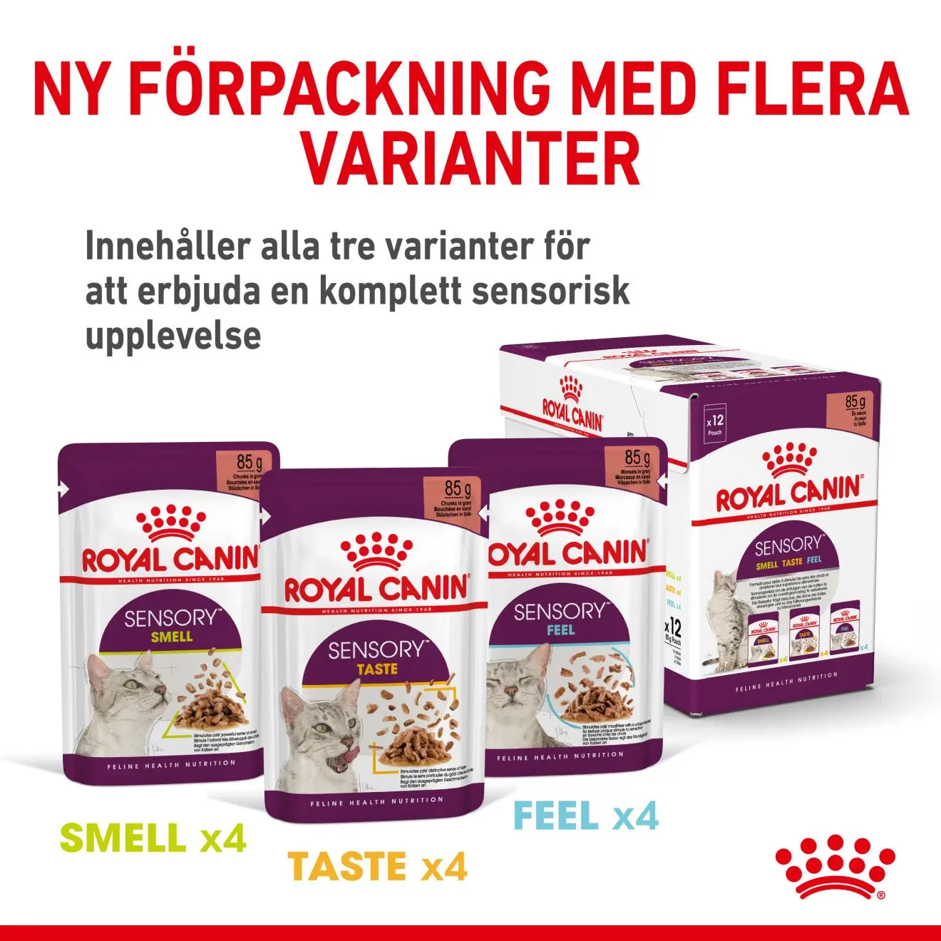 Sensory Feel Gravy Adult kissan märkäruoka