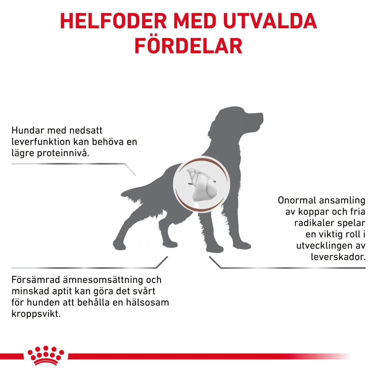 Hepatic Torrfoder för hund
