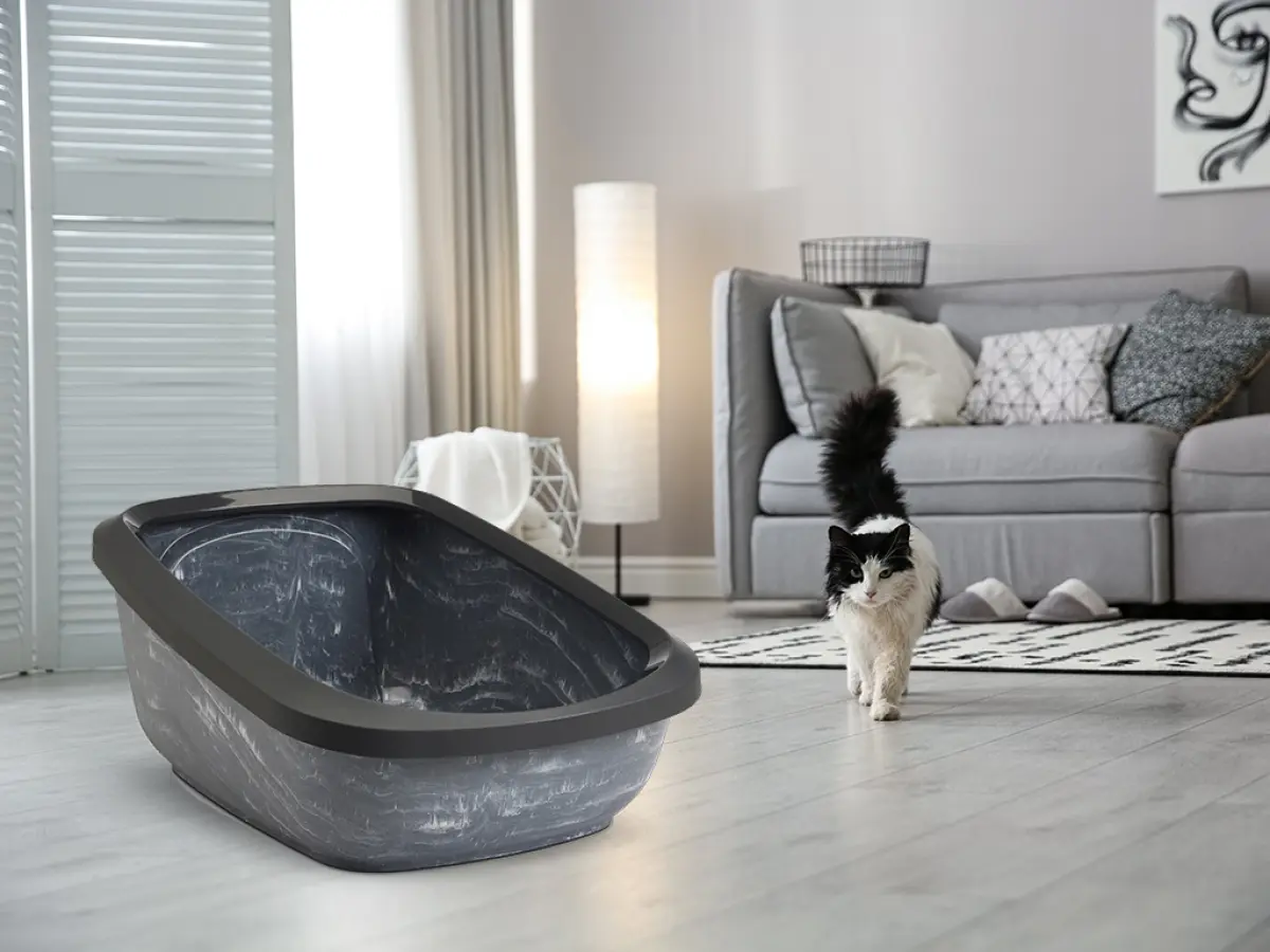 Katteboks Aseo Jumbo Marble