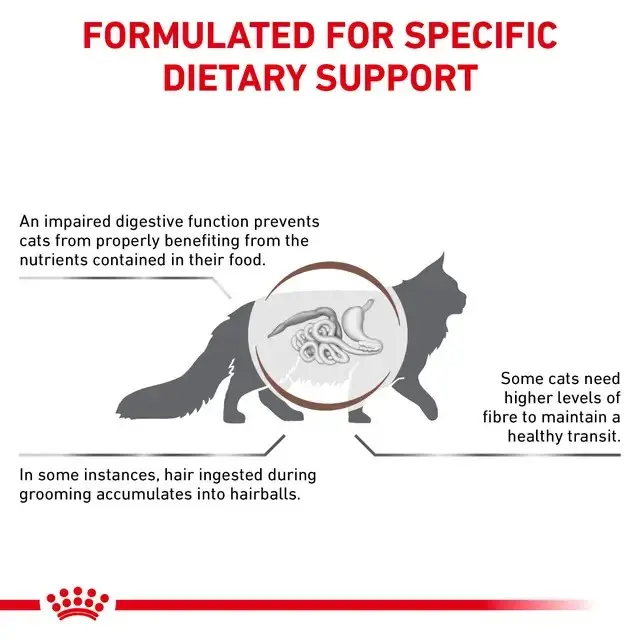 Royal Canin Veterinary Diets Cat Gastrointestinal Hairball – torrfoder