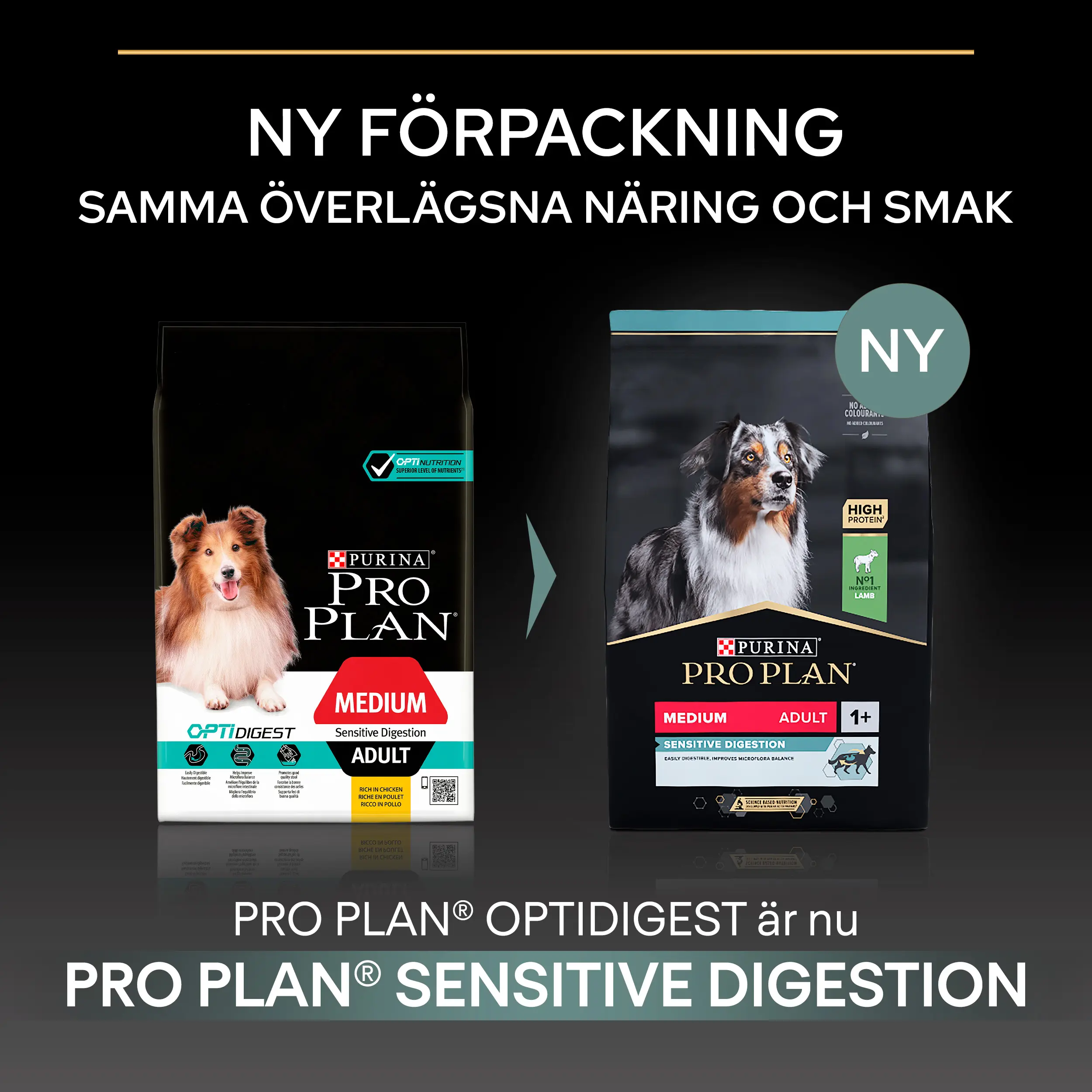 Dog Large Adult Robust Sensitive Digestion - rik på lam