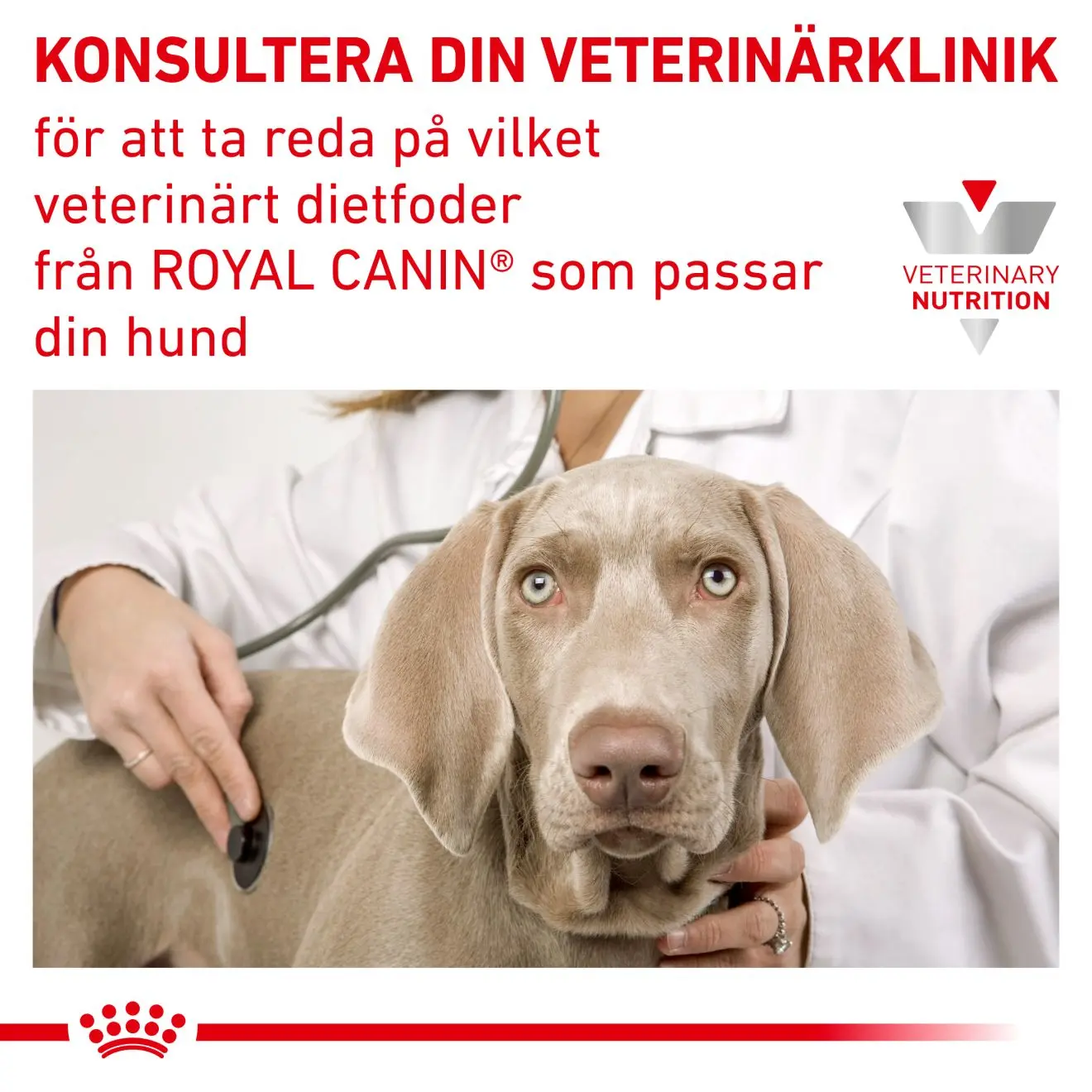 Weight Management Satiety Small Dog Torrfoder för hund