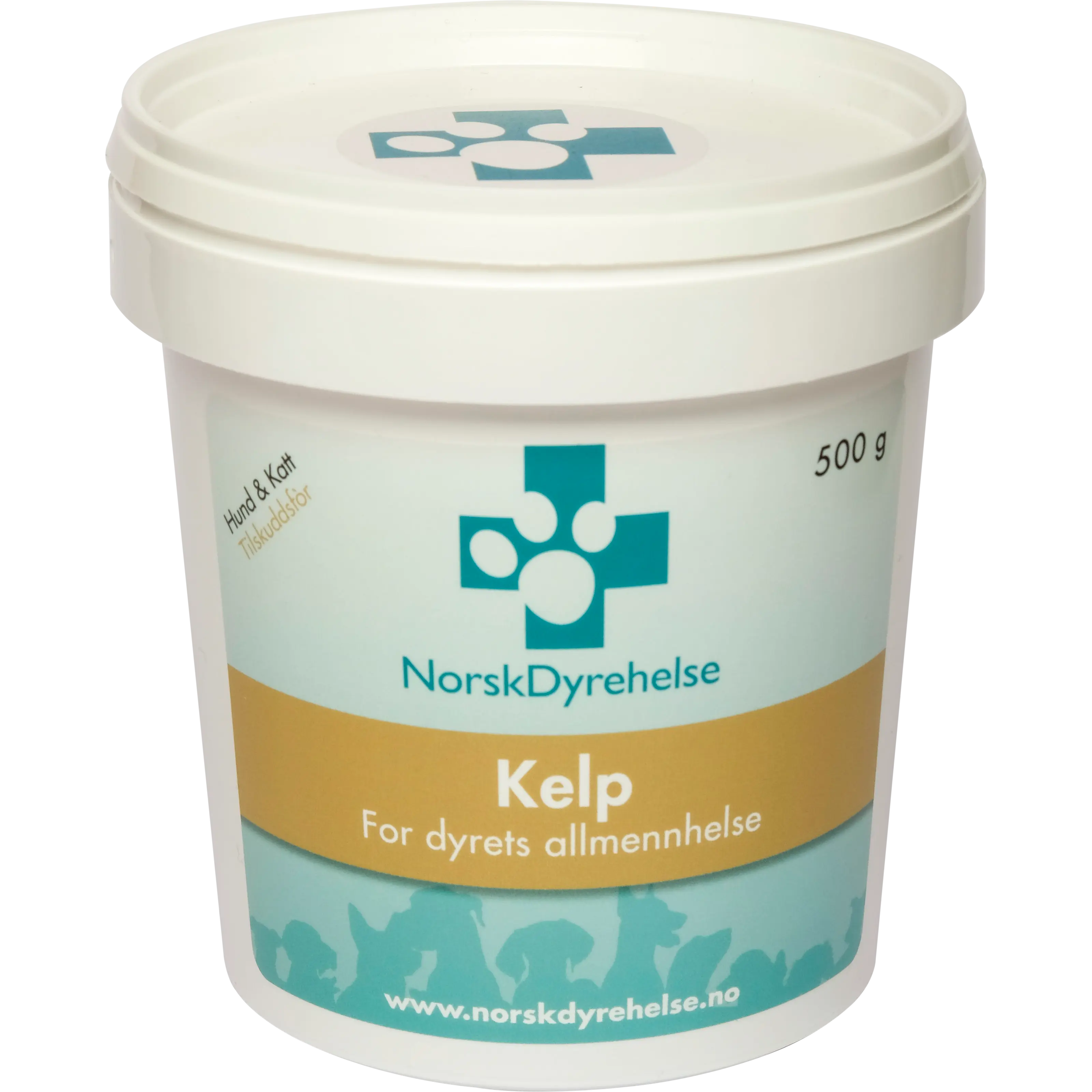 Kelp