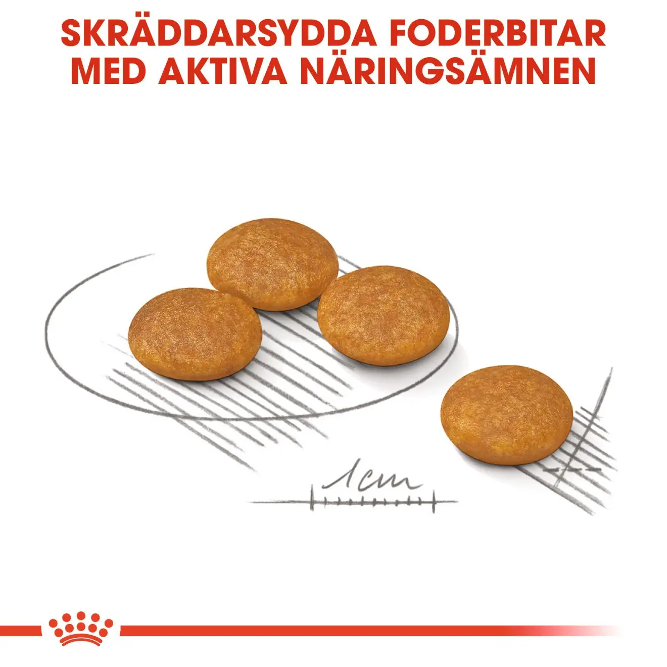 Dermacomfort Mini kuivaruoka koirille