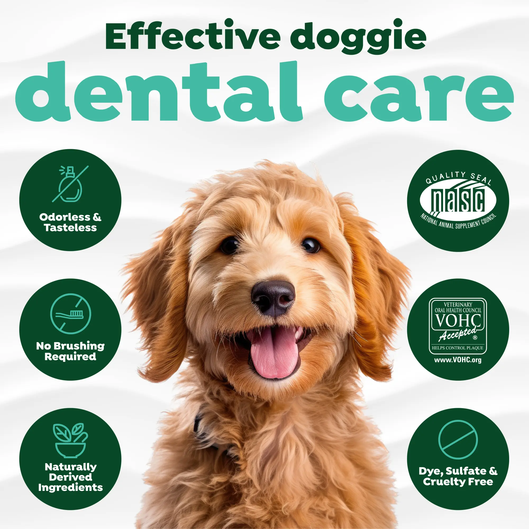 Fresh Breath Dental Health Solution