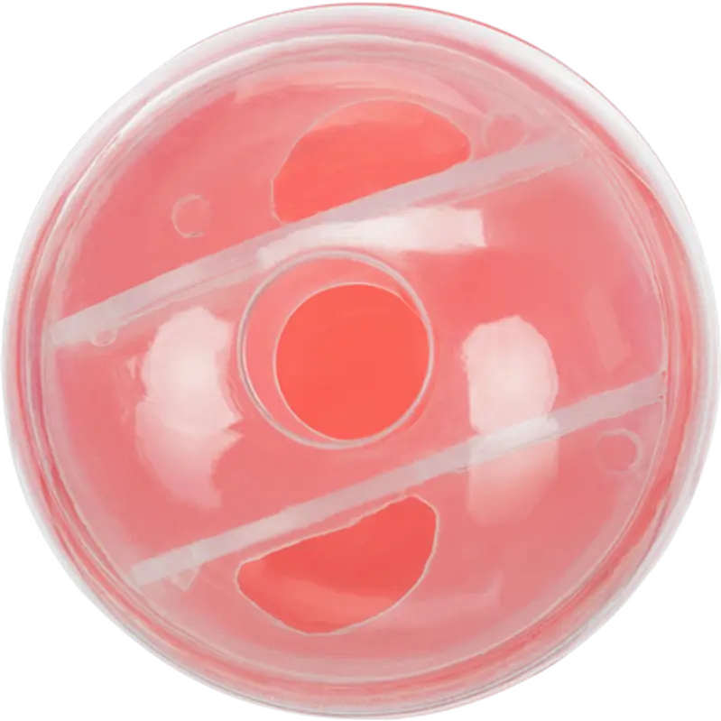 Cat Activity Snack Ball Plastic