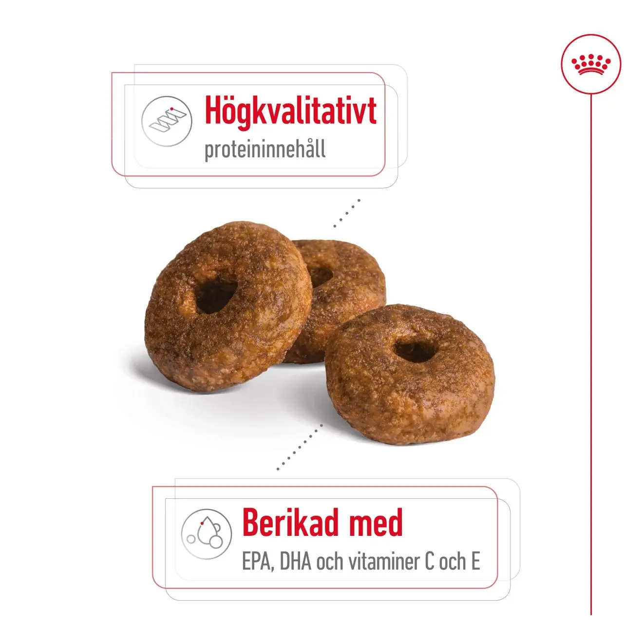 Keski-ikäinen 10+ ikäinen Kuivaruoka koirille