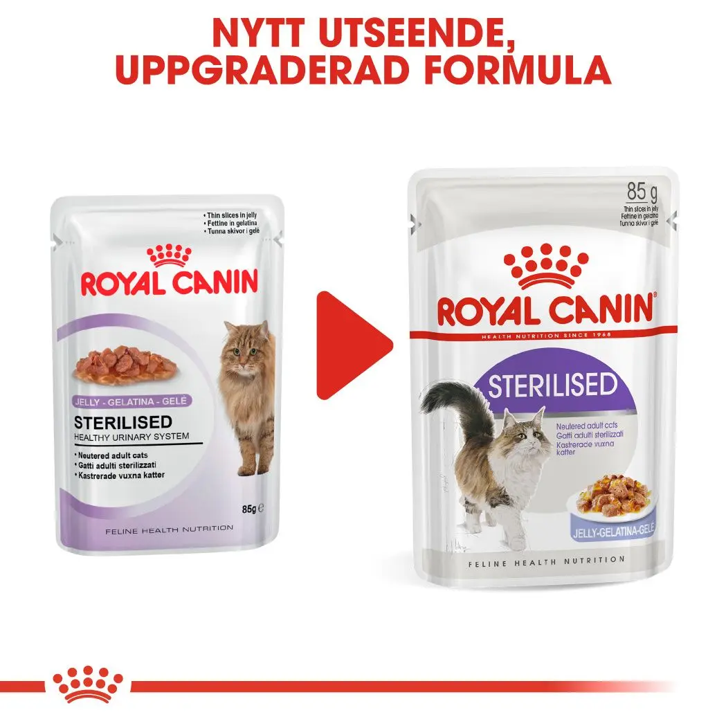 Sterilised Adult kissan märkäruoka hyytelössä
