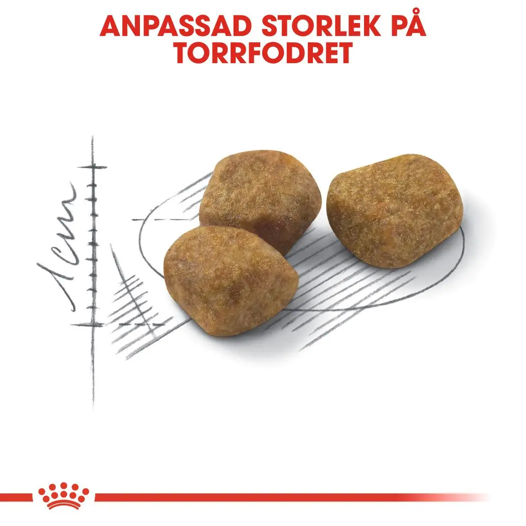 Indoor 7+ Ageing Torrfoder för katt