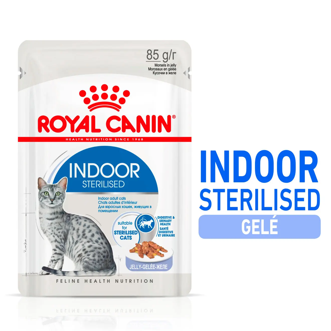 Indoor Sterilised Jelly