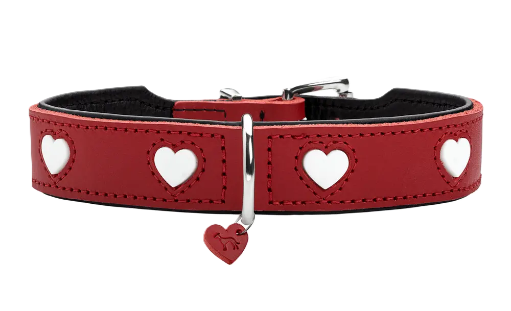 Collar Love Cowleather Red/Black 32/XS