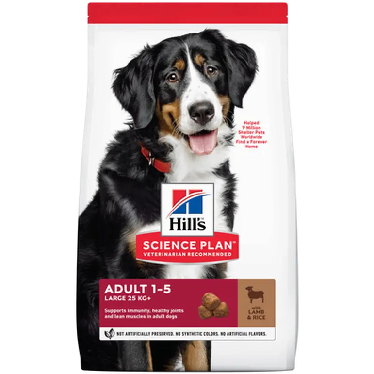 Adult Advanced Fitness Large Breed Lamb & Rice - Dry Dog Food 12 kg