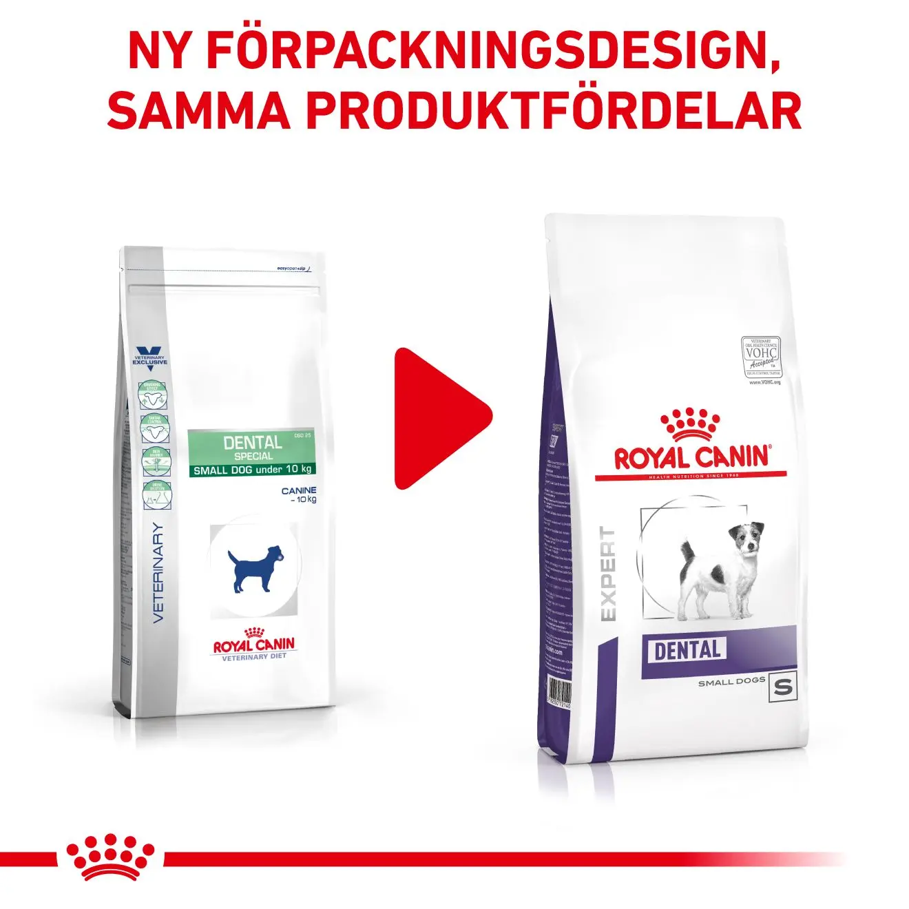 Dental Small Dog kuivaruoka koirille