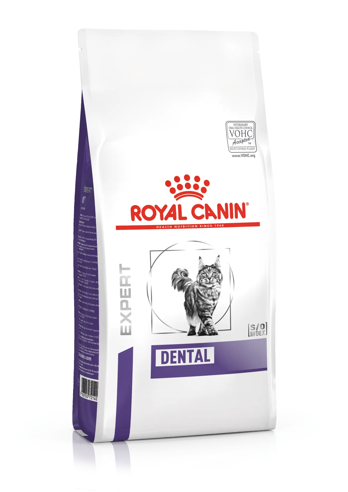 Dental kissan kuivaruoka