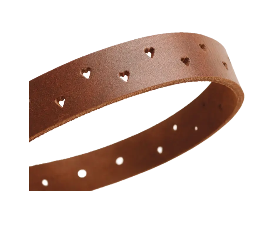 Hundhalsband Aalborg Soul Svart