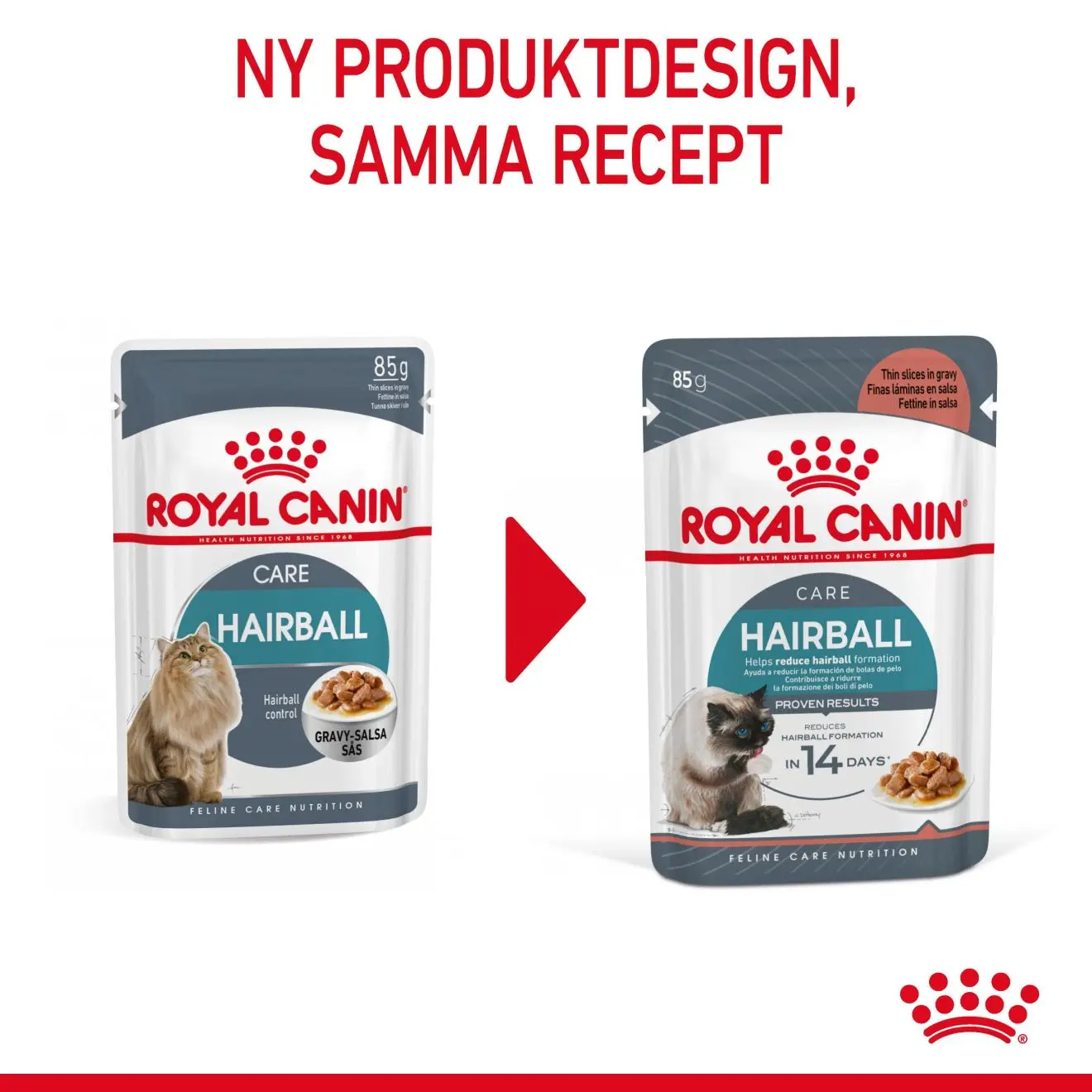 FCN Hairball Care Gravy Adult kissan märkäruoka