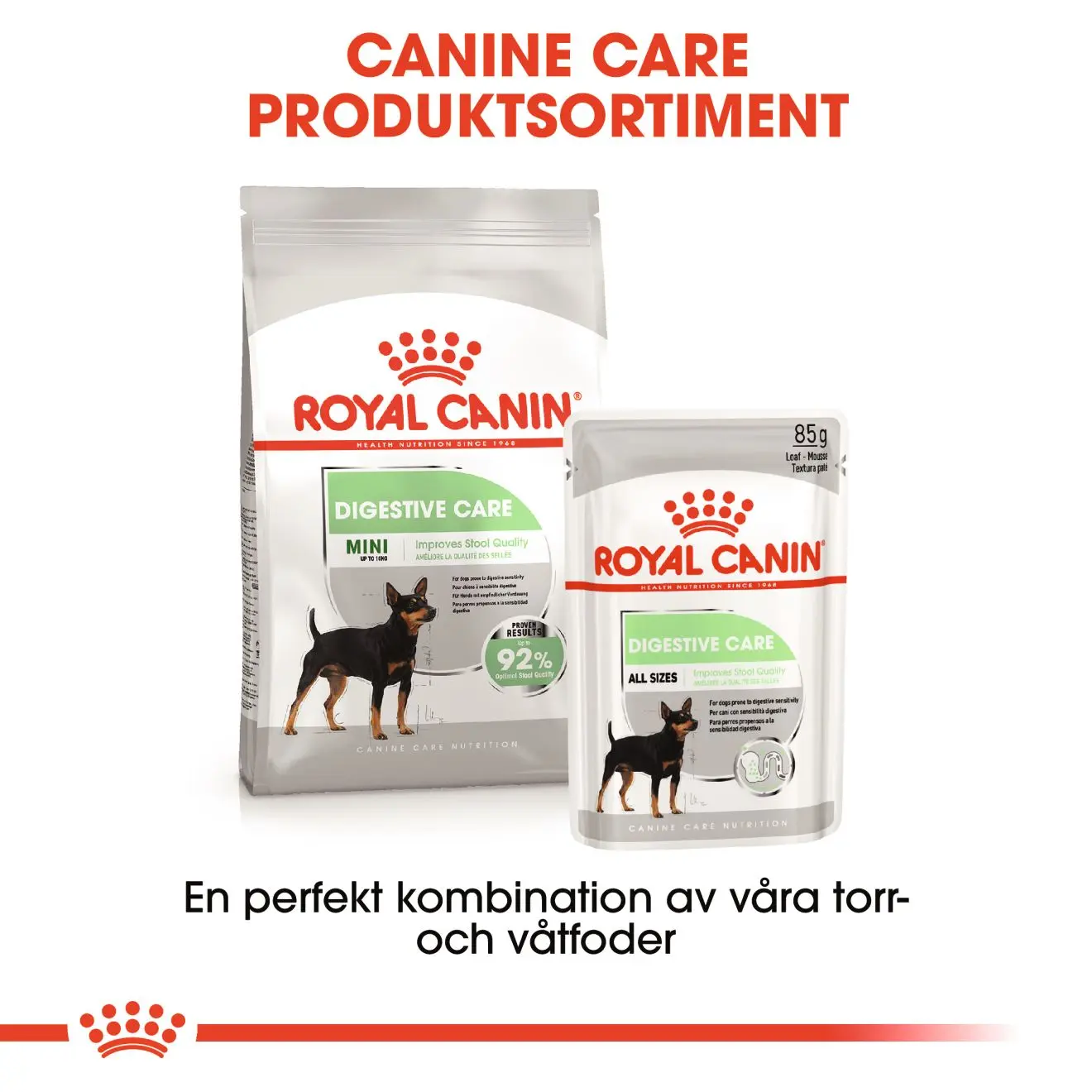 Digestive Care Adult Mini kuivaruoka koirille