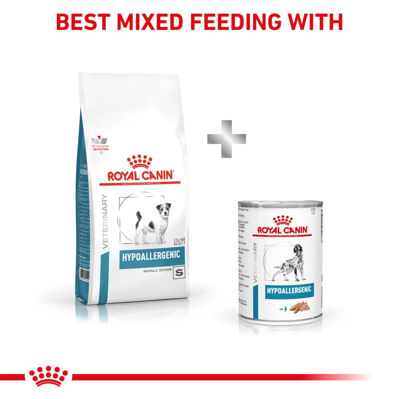 Derma Hypoallergenic Small Dog kuivaruoka koirille