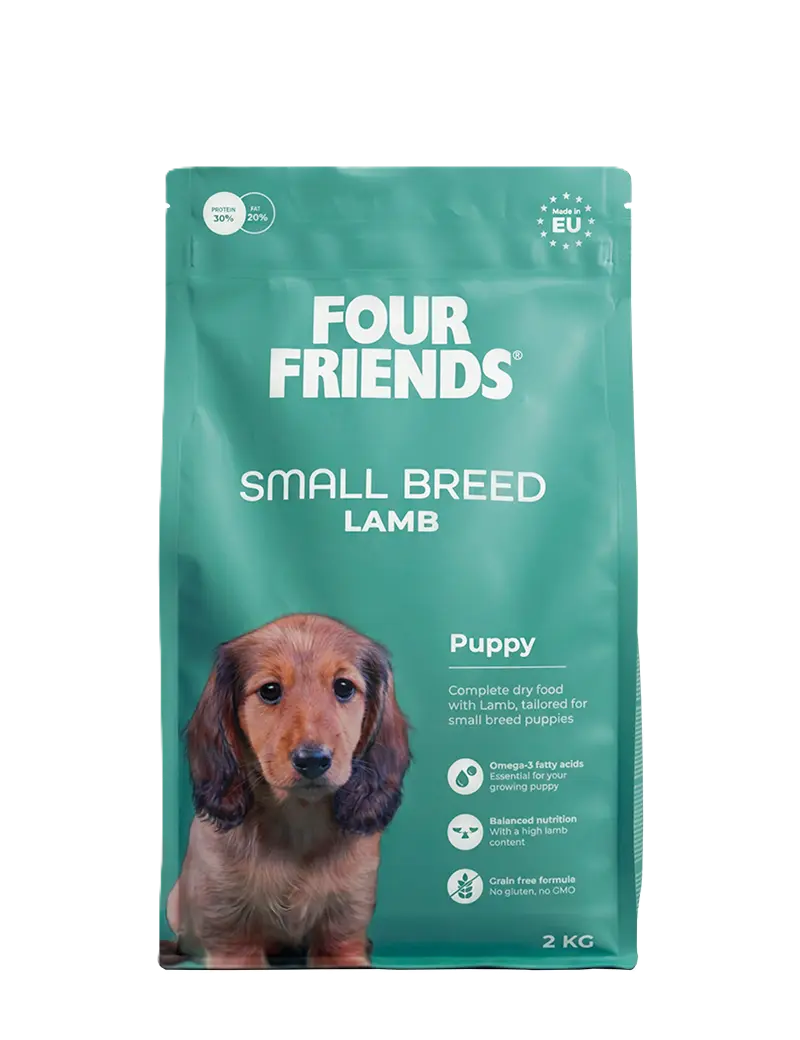 Hund – valp av liten rase – lam 6 kg