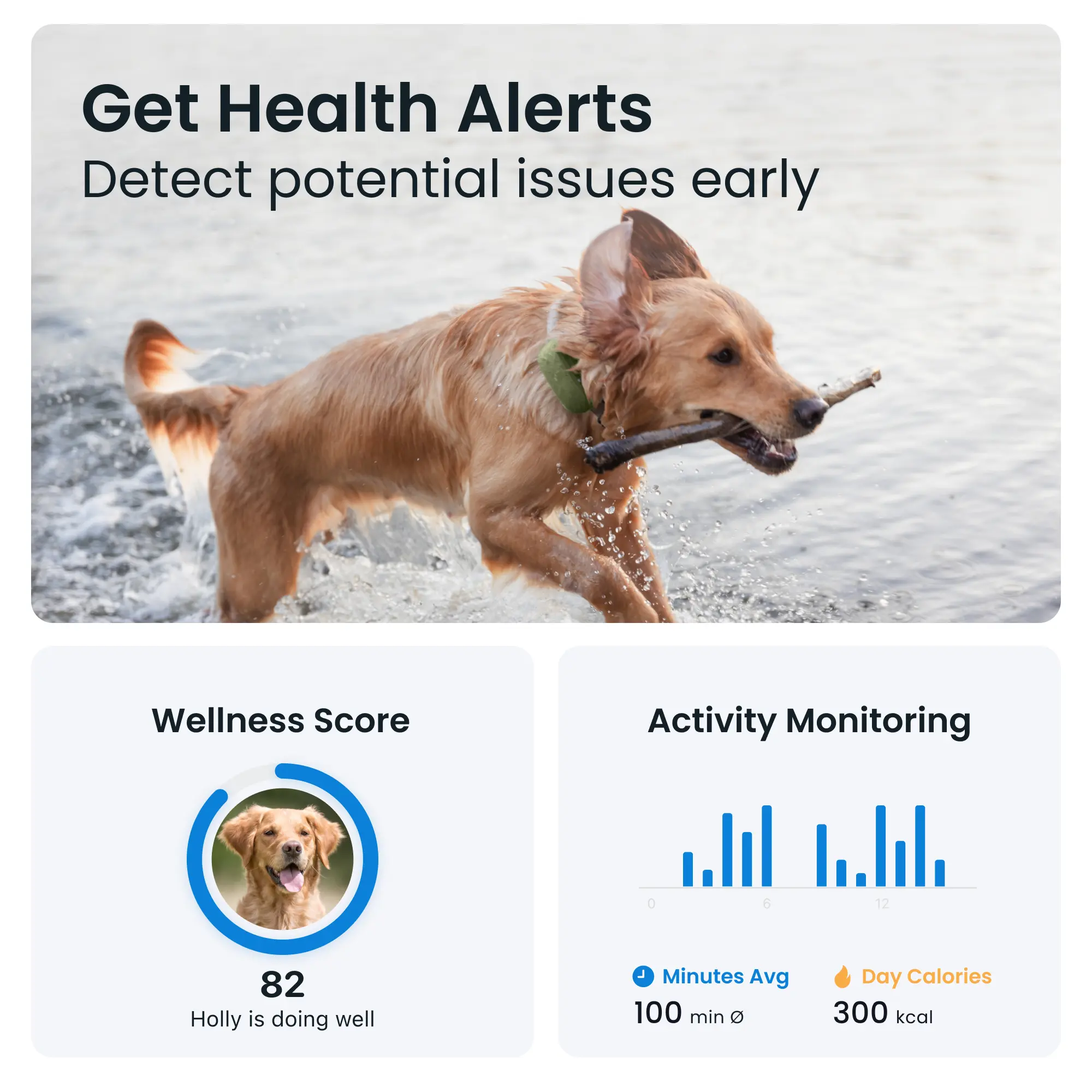 GPS DOG XL Grön