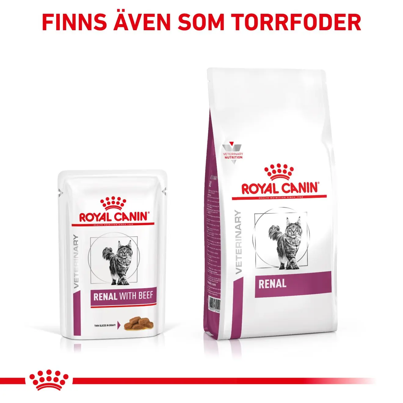 Renal kissan märkäruoka