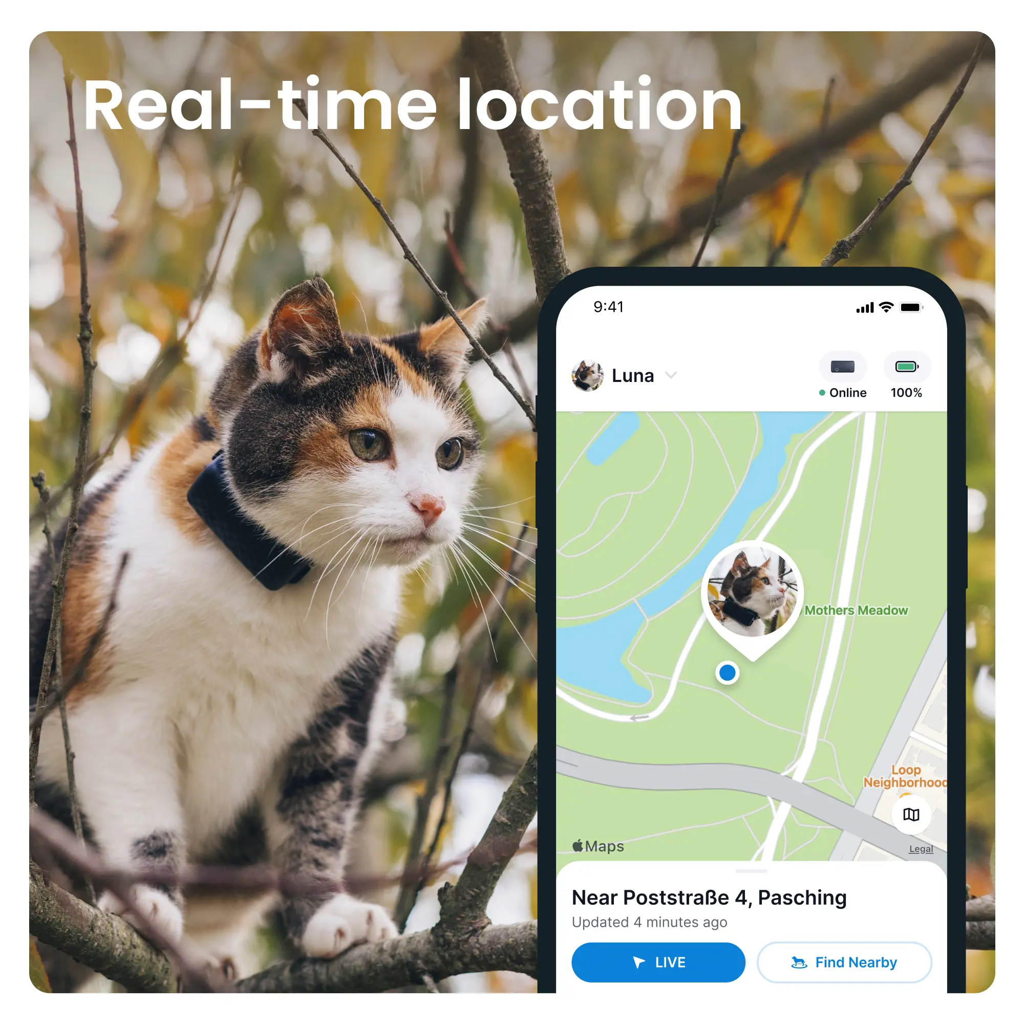 Tractive CAT Mini GPS sininen