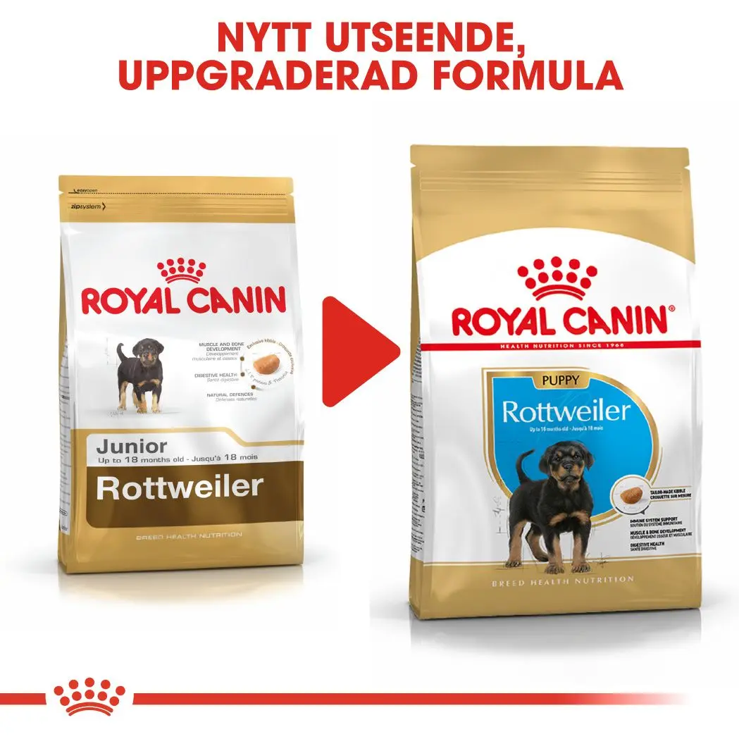Rottweiler Puppy Kuivaruoka pennuille