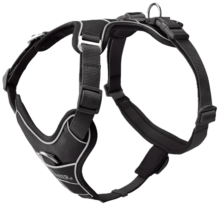 Harness Divo Up Polyester Black