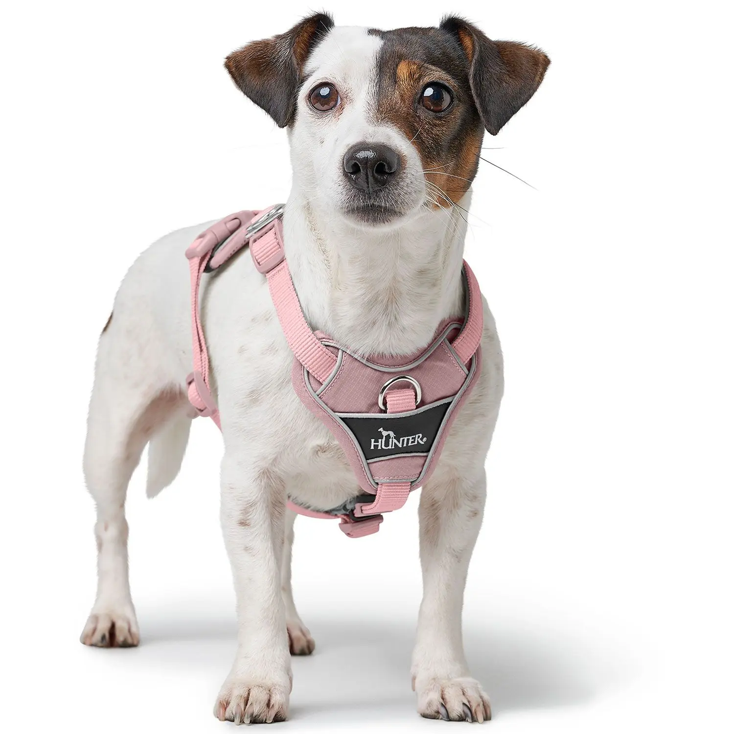 Harness Divo Up Polyester antique pink