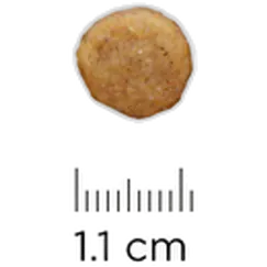 k/d Kidney Care Original - Dry Dog Food