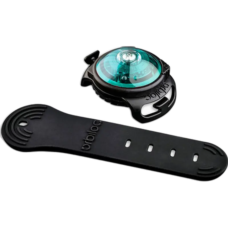 Safety Light Dog Dual LED - Turquoise
