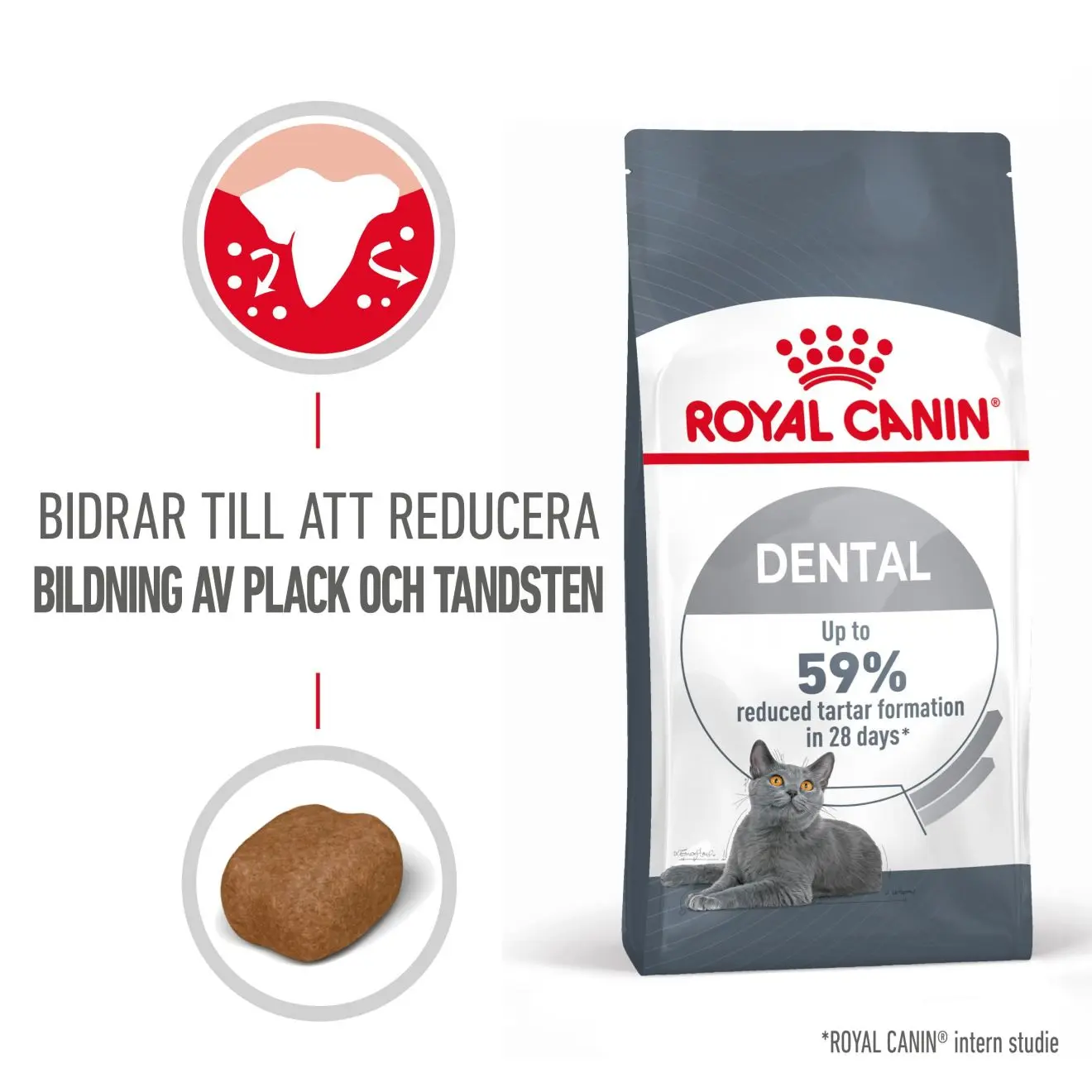 Dental Care Adult Dry kissanruoka  8 kg