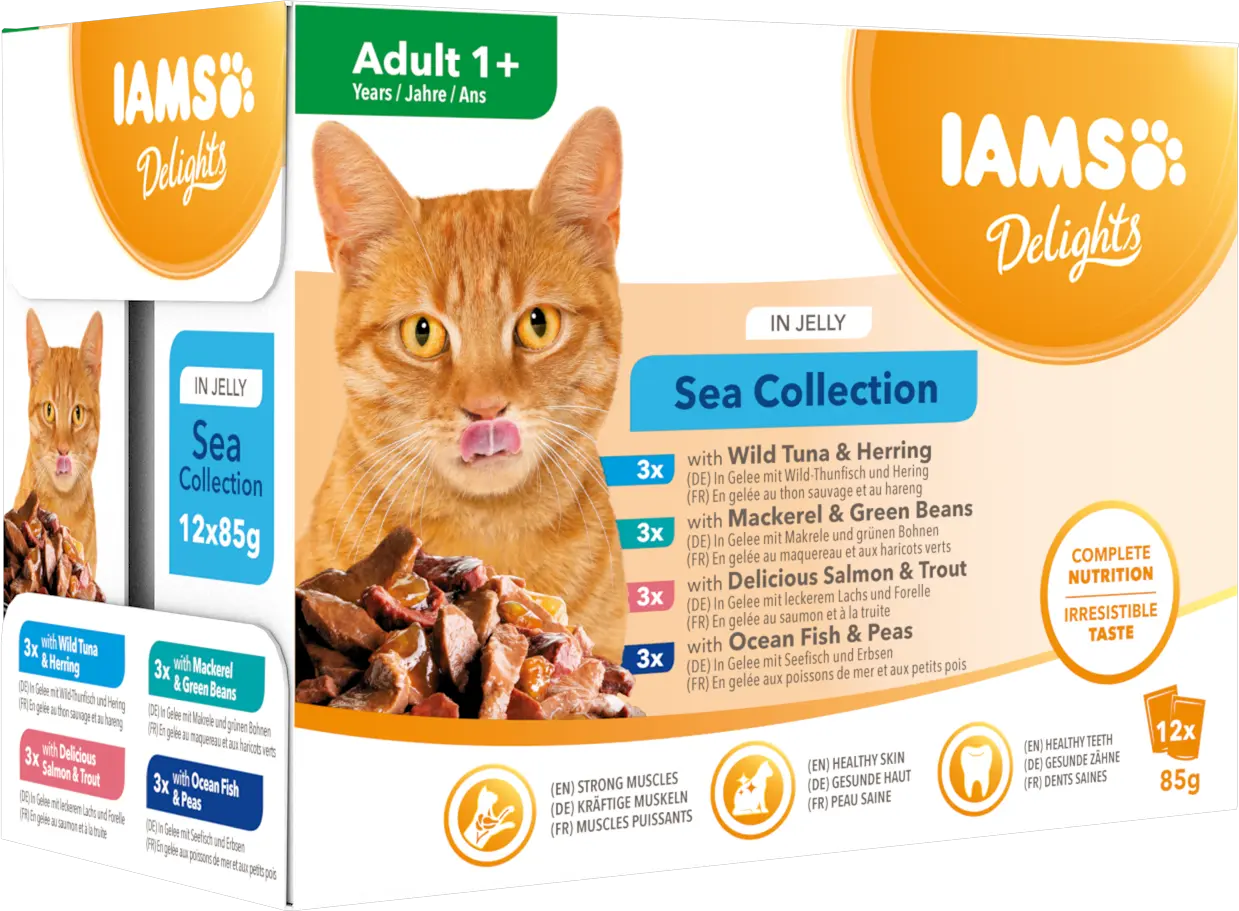 Cat Delights hyytelö monipakkaus Sea 12x85g