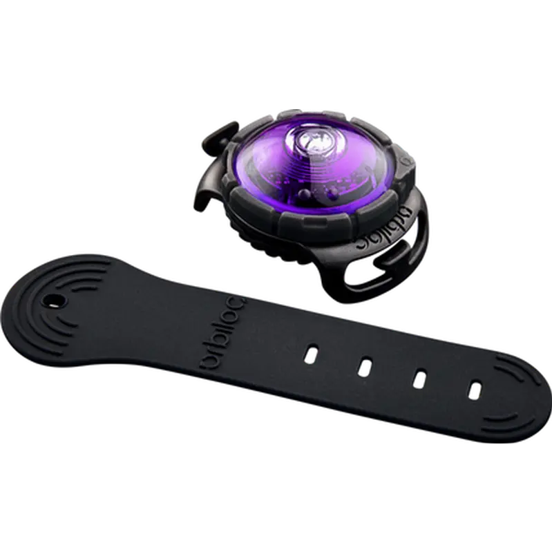 Safety Light Dog Dual LED - Purple