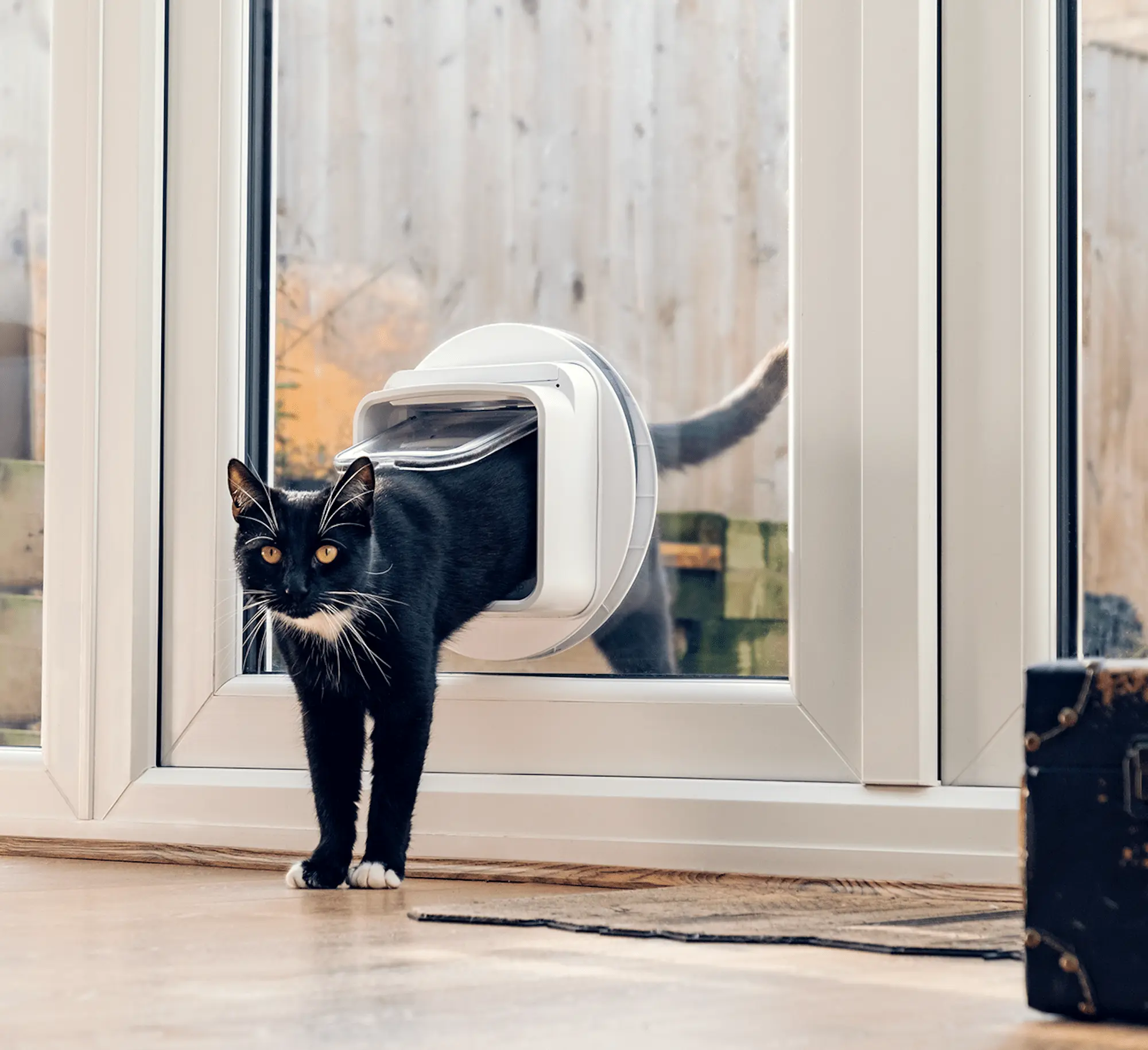 Microchip Cat Flap Connect - Kattlucka + Hub