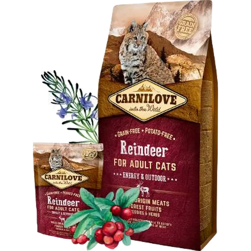 Cat Reindeer Energy & Outdoor