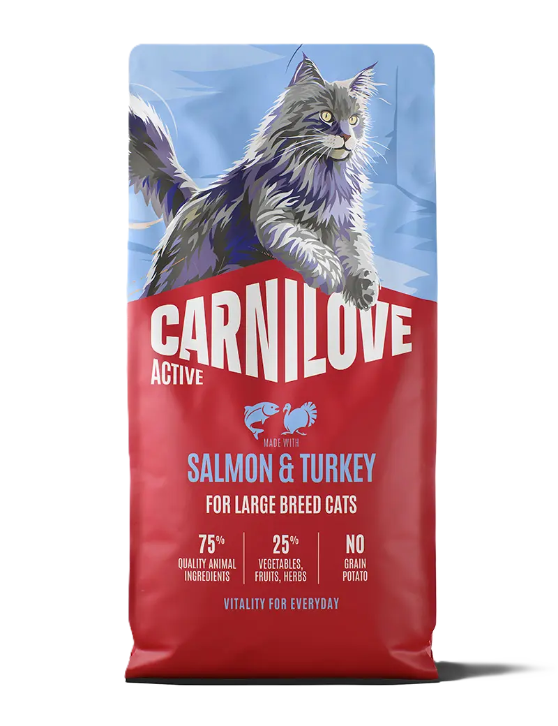 Active Cat Laks & Kalkun for voksne hunder av store raser 6 kg