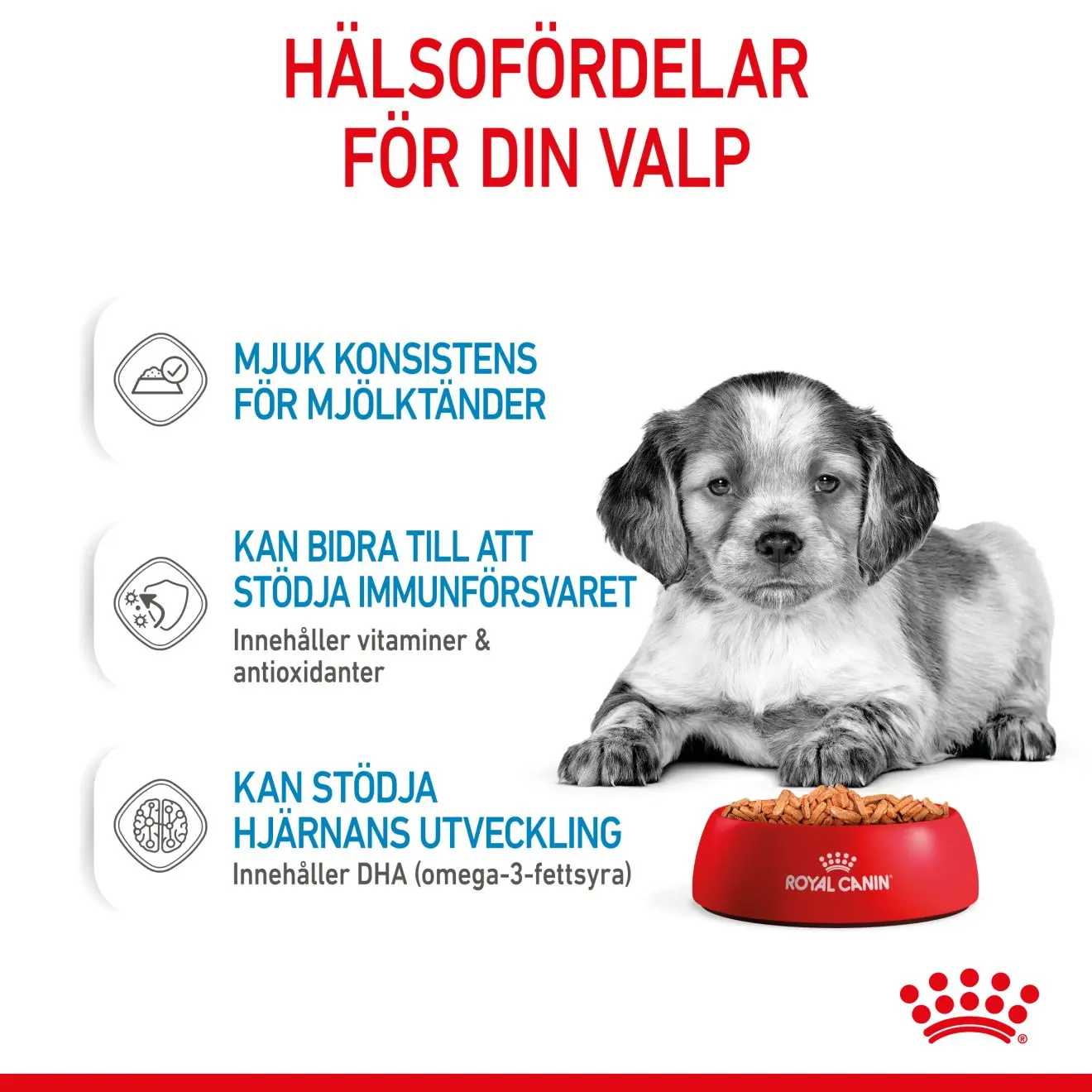 Medium Puppy Märkäruoka pennuille