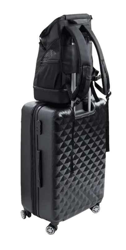 Flight Bag/Backpack Miles