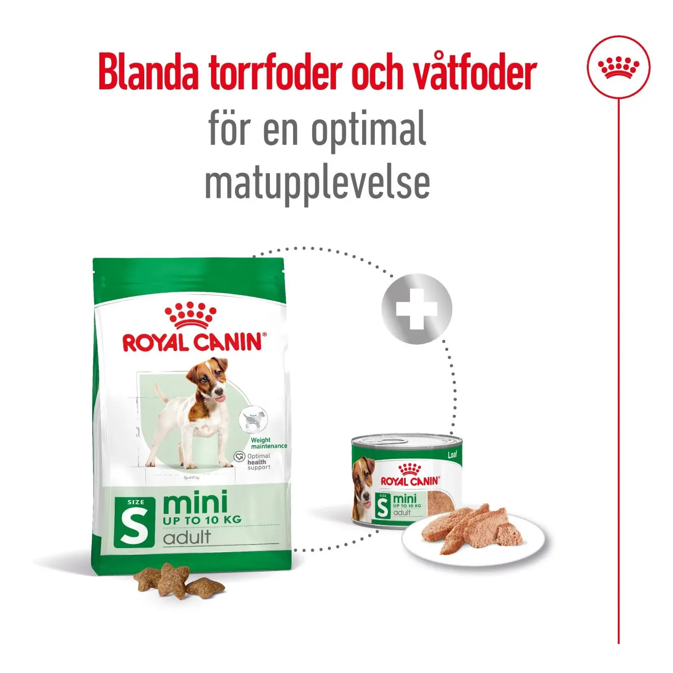 Mini Adult Torrfoder för hund