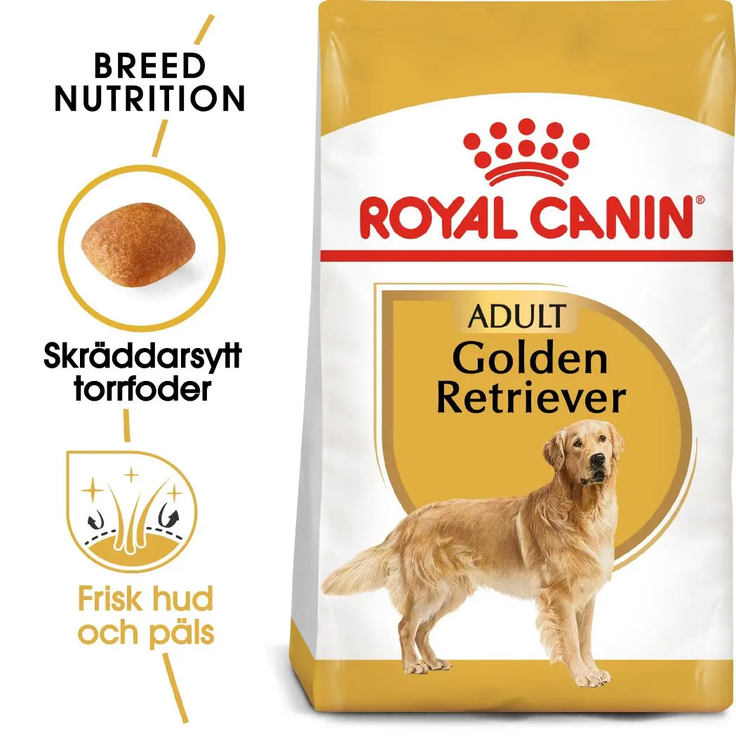 Golden Retriever Adult Kuivaruoka koirille