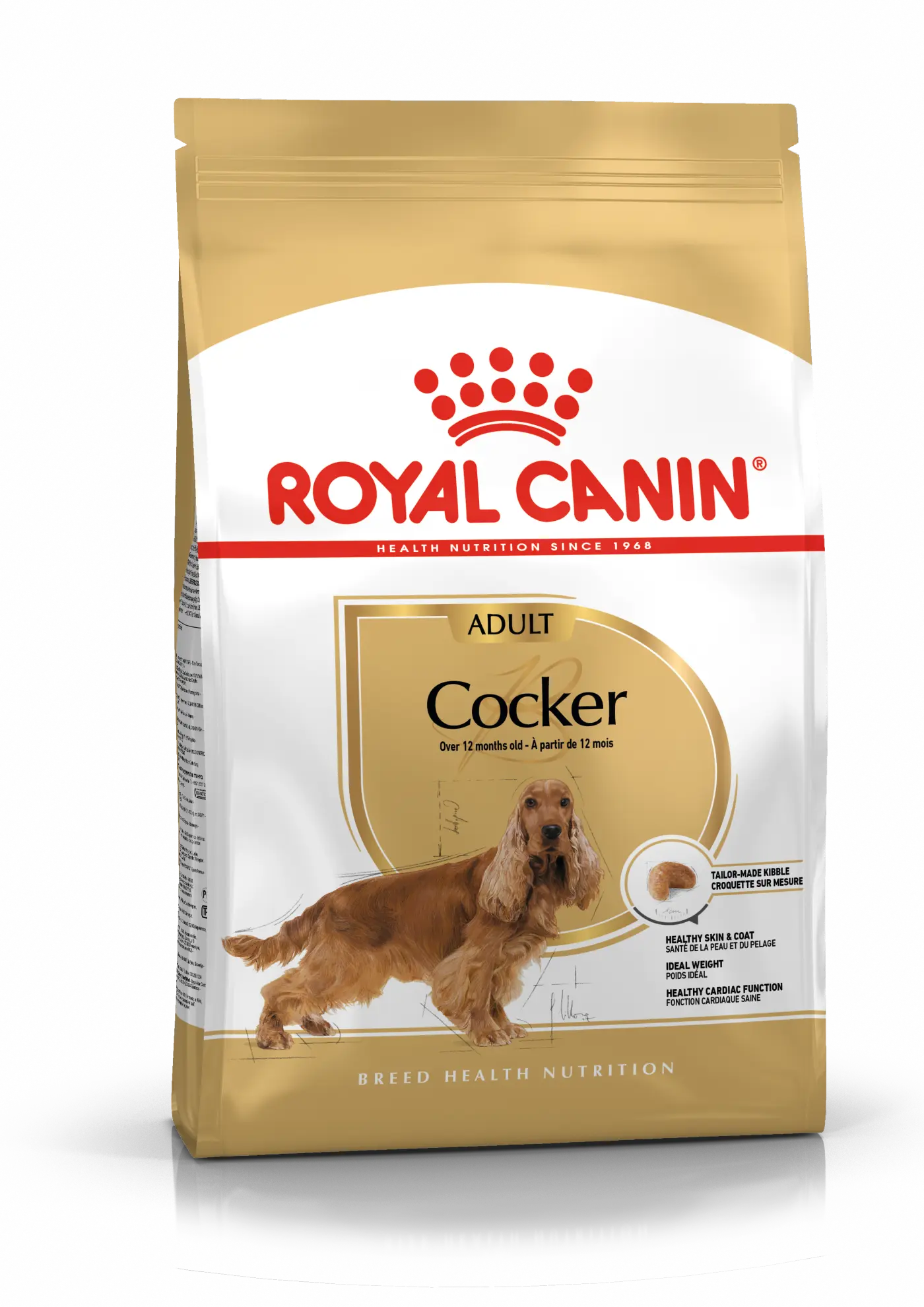 Cocker Spaniel Adult Dry food koirille