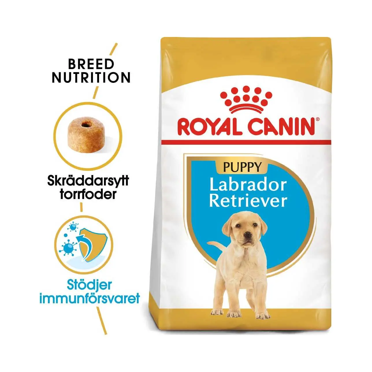 BHN Labrador Puppy 3kg